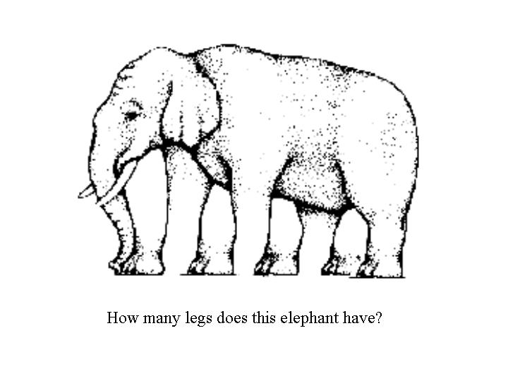 how many legsdoes this elephant have